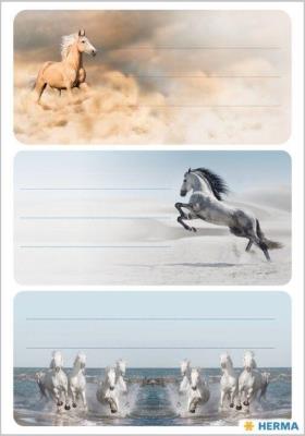 Opakowanie Naklejki szkolne - Konie 9szt