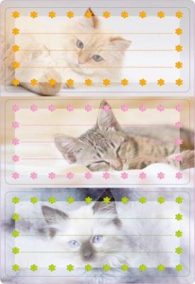 Opakowanie Naklejki szkolne - Kotki 6szt