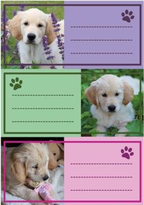 Opakowanie Naklejki szkolne - Pieski 9szt