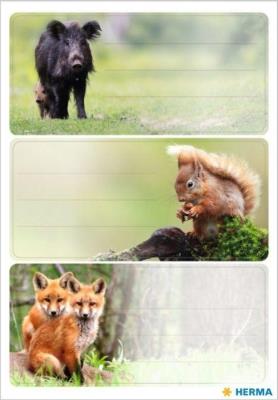 Opakowanie Naklejki szkolne - Zwierzęta leśne 9szt