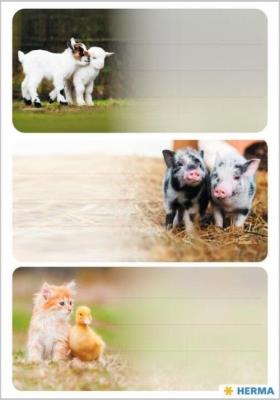 Opakowanie Naklejki szkolne - Zwierzęta wiejskie 9szt