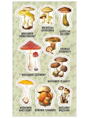 Opakowanie Naklejki Trujące grzyby