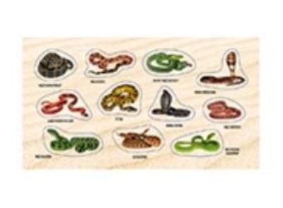 Opakowanie Naklejki Żmije i węże