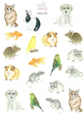 Naklejki Zwierzęta domowe. Wydawca: Mama Maluje. SmakLiter.pl Opakowanie Naklejki Zwierzęta domowe