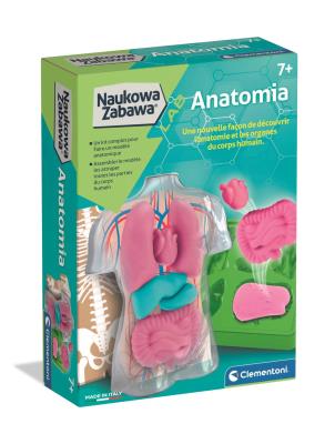 Opakowanie Naukowa Zabawa. Anatomia