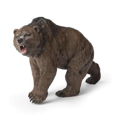 Opakowanie Niedźwiedź jaskiniowy