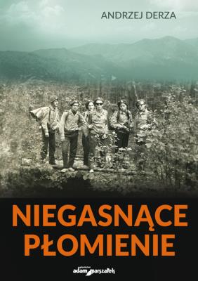 Okładka książki Niegasnące płomienie