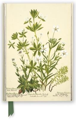 Opakowanie Notatnik A5 linia TW Kwiaty RBGE Charlotte Cowan