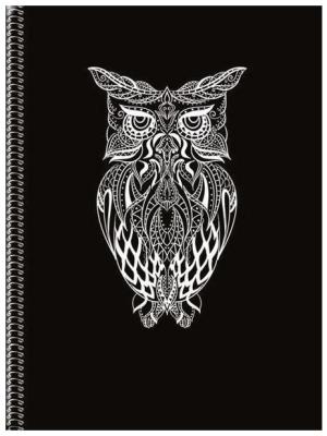 Opakowanie Notatnik A5 Soft Sowa