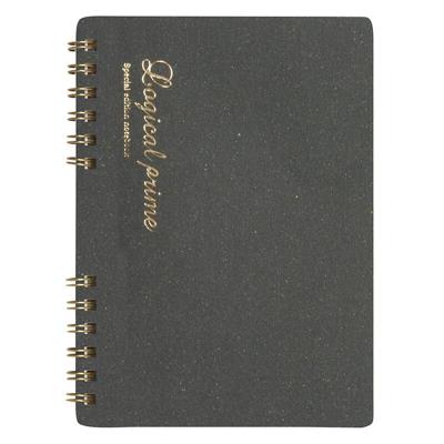 Opakowanie Notatnik A6 kratka Logical Prime SB szary