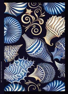 Opakowanie Notatnik ozdobny 143x200/64K kratka TW Muszle