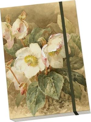 Opakowanie Notatnik ozdobny A5 STNOTE 101 Ciemiernik