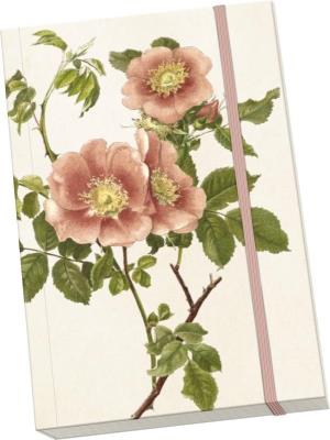 Opakowanie Notatnik ozdobny A5 STNOTE 103 Róże