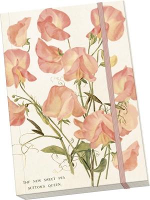 Opakowanie Notatnik ozdobny A5 STNOTE 108 Kwiaty groszku