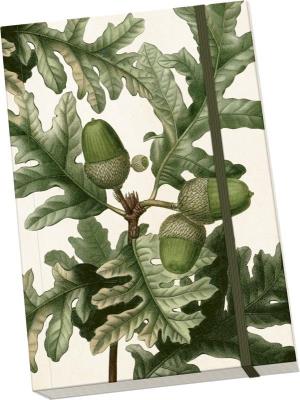 Opakowanie Notatnik ozdobny A5 STNOTE 119 Żołądź