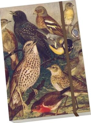 Opakowanie Notatnik ozdobny A5 STNOTE 129 Ptaki