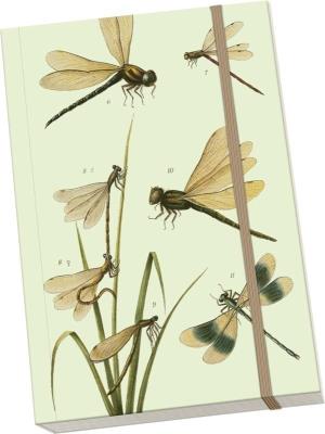 Opakowanie Notatnik ozdobny A5 STNOTE 98 Ważki