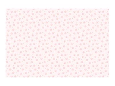 Opakowanie Obrus papierowy łapki 180x120cm