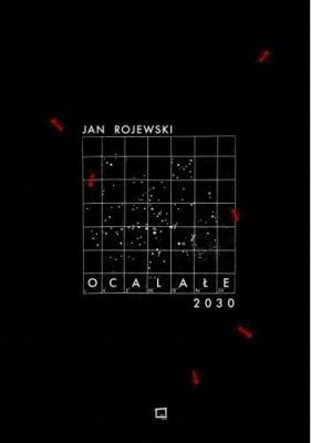 Okładka książki Ocalałe 2030