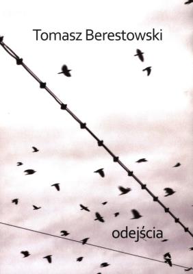 Odejścia. Autor: BERESTOWSKI TOMASZ. SmakLiter.pl Okładka książki Odejścia