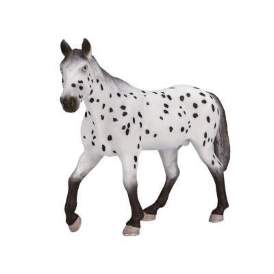 Opakowanie Ogier Appaloosa ANIMAL PLANET