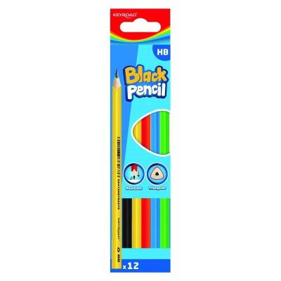 Opakowanie Ołówek drewniany HB kolorowa obudowa 12szt