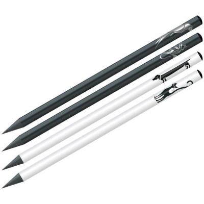 Opakowanie Ołówek HB Riddle (36szt)