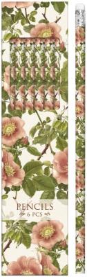 Opakowanie Ołówki ozdobne STPEN08 dzika róża 6 sztuk