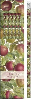 Opakowanie Ołówki ozdobne STPEN34 jabłoń 6 sztuk