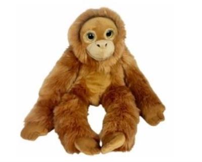 Opakowanie Orangutan big eyes 50cm