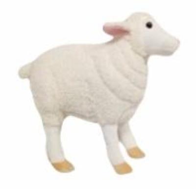 Opakowanie Owca 45cm
