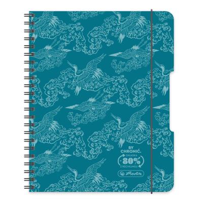 Opakowanie Paczka Kołobrulion A5 80 k. kratka Eco PP Colors turkus 4 szt.