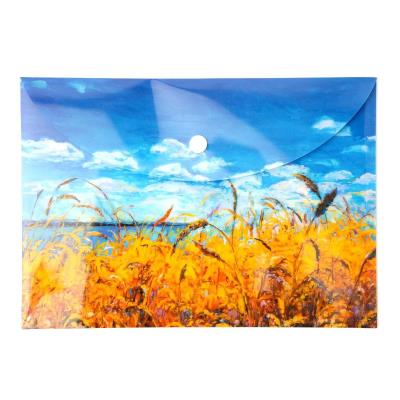 Paczka Teczka A5 kopertowa PP Niebo 5 szt.. Wydawca: Narcissus. SmakLiter.pl Opakowanie Paczka Teczka A5 kopertowa PP Niebo 5 szt.