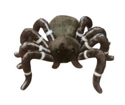 Opakowanie Pająk 25cm