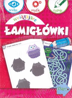 Okładka książki Pakiet: Łamigłówki labirynty/ wciągające