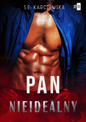 Okładka książki Pan nieidealny - uszkodzone