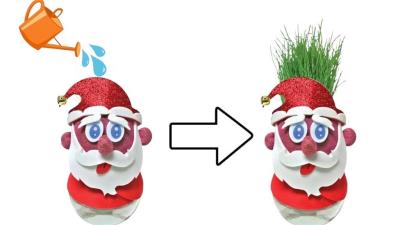 Opakowanie Pan Trawiastogłowy Zimowy Mikołaj