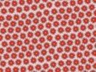 Opakowanie Papier do pakowania - Gwiazda betlejemska 70x200cm