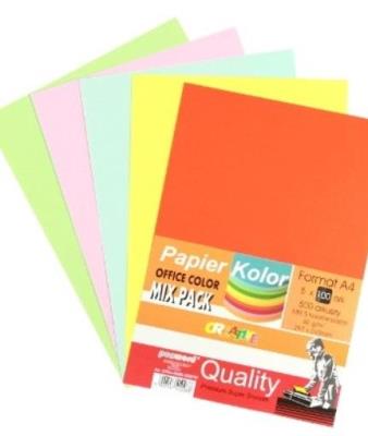 Opakowanie Papier kolorowy A4 5x100 arkuszy