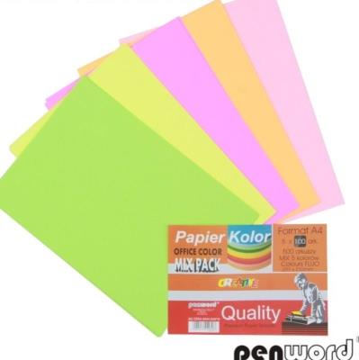 Opakowanie Papier kolorowy A4 5x100 arkuszy