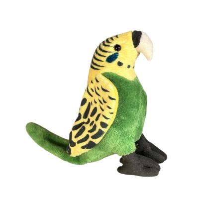 Opakowanie Papuga falista 16cm