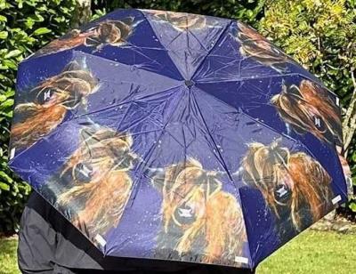 Opakowanie Parasolka Krowa