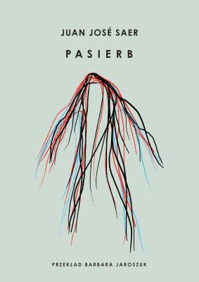 Pasierb. Autor: Juan José Saer. SmakLiter.pl Okładka książki Pasierb