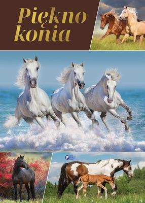 Piękno konia. Autor: Opracowanie zbiorowe. SmakLiter.pl Okładka książki Piękno konia