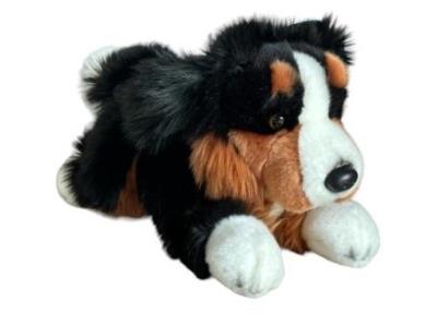 Opakowanie Pies berneński 30cm