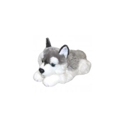 Opakowanie Pies Husky 42cm