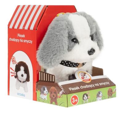 Opakowanie Piesek chodzący na smyczy