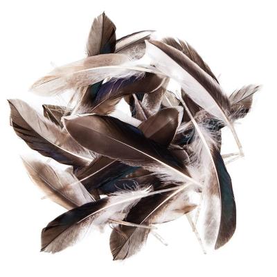 Pióra kacze 10-15cm 10g. Wydawca: Dalprint. SmakLiter.pl Opakowanie Pióra kacze 10-15cm 10g