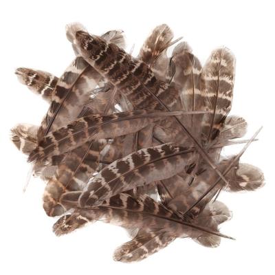 Pióra kacze 15-20cm 5g. Wydawca: Dalprint. SmakLiter.pl Opakowanie Pióra kacze 15-20cm 5g
