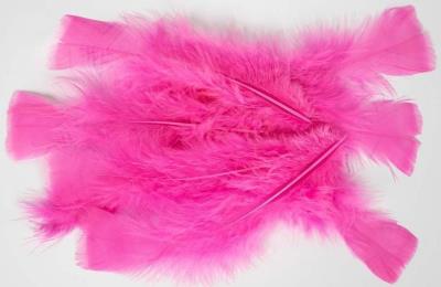 Opakowanie Piórka 10g 14-18cm